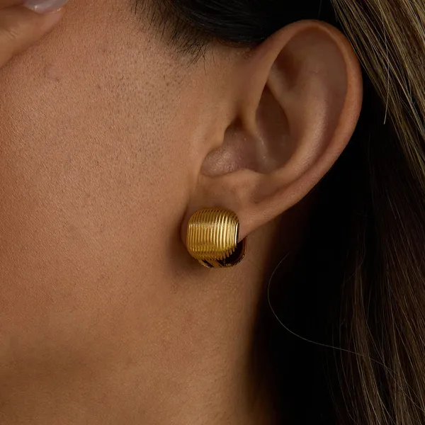 Golden_Stainless_Steel_And_Hypoallergenic_Coating_Earrings_For_Women